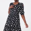 Women Scamp & Dude Black with White Star Tie Front Short Dress
