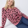 Women Scamp & Dude Coral with Black Leopard Classic Sweatshirt