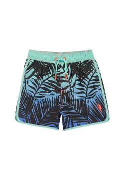 Women Scamp & Dude Kids Green with Blue and Black Tropical Swim Shorts